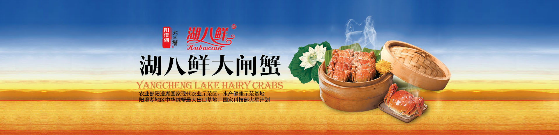 山東法拉第新材料有限公司